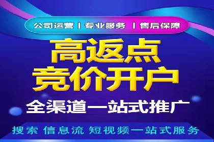 行业领先企业的SEM竞价代运营案例解析